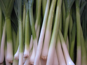 Scallions