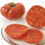 Brandywine OTV Tomato