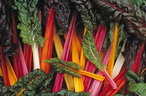 Swiss Chard