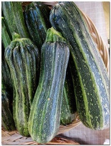 Zucchini