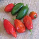 Hot Peppers