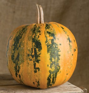 Kaikai Pumpkin