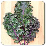 Curly Roja kale