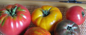 Heirloom Tomatoes